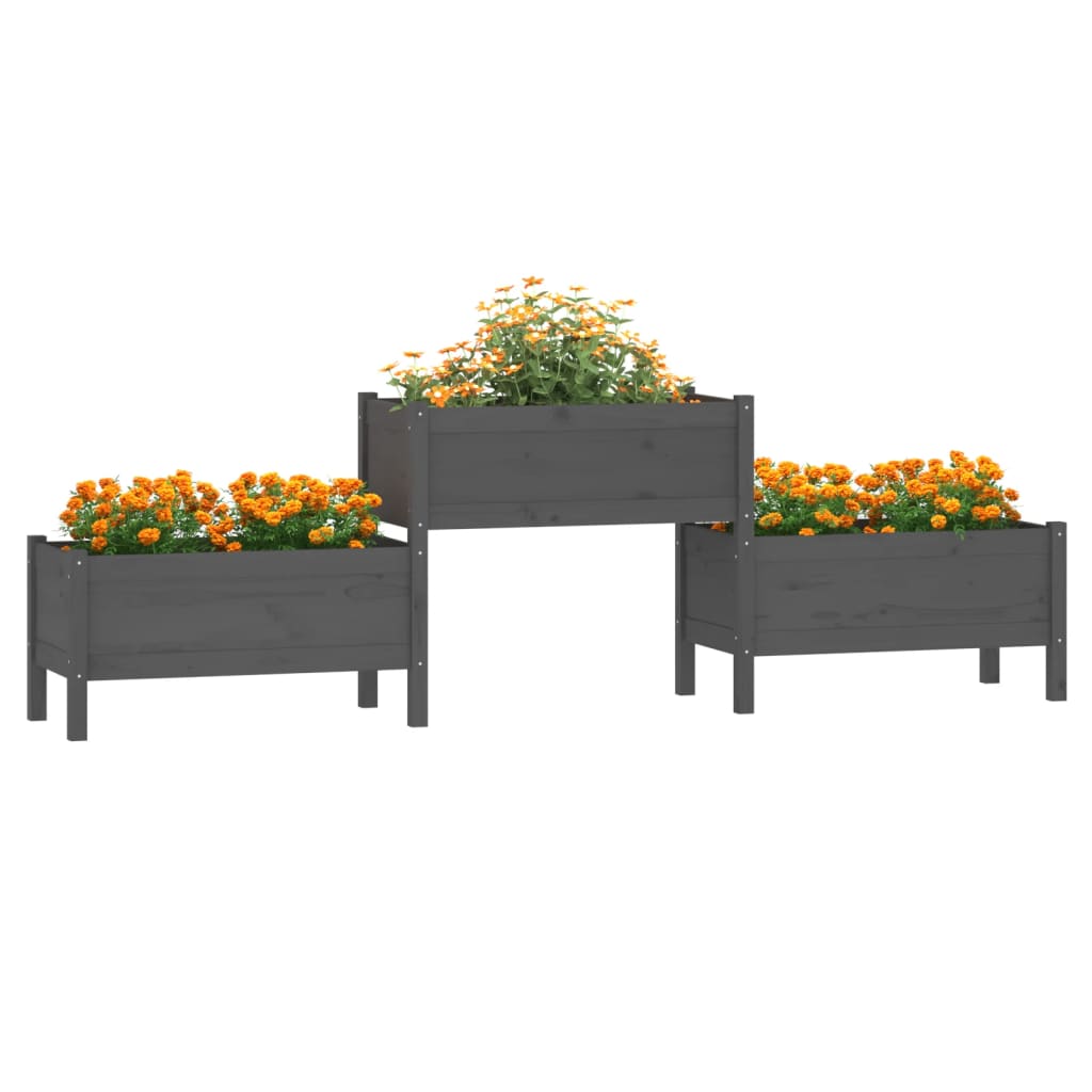 vidaXL Donica, szara, 245,5x44x75 cm, lite drewno sosnowe
