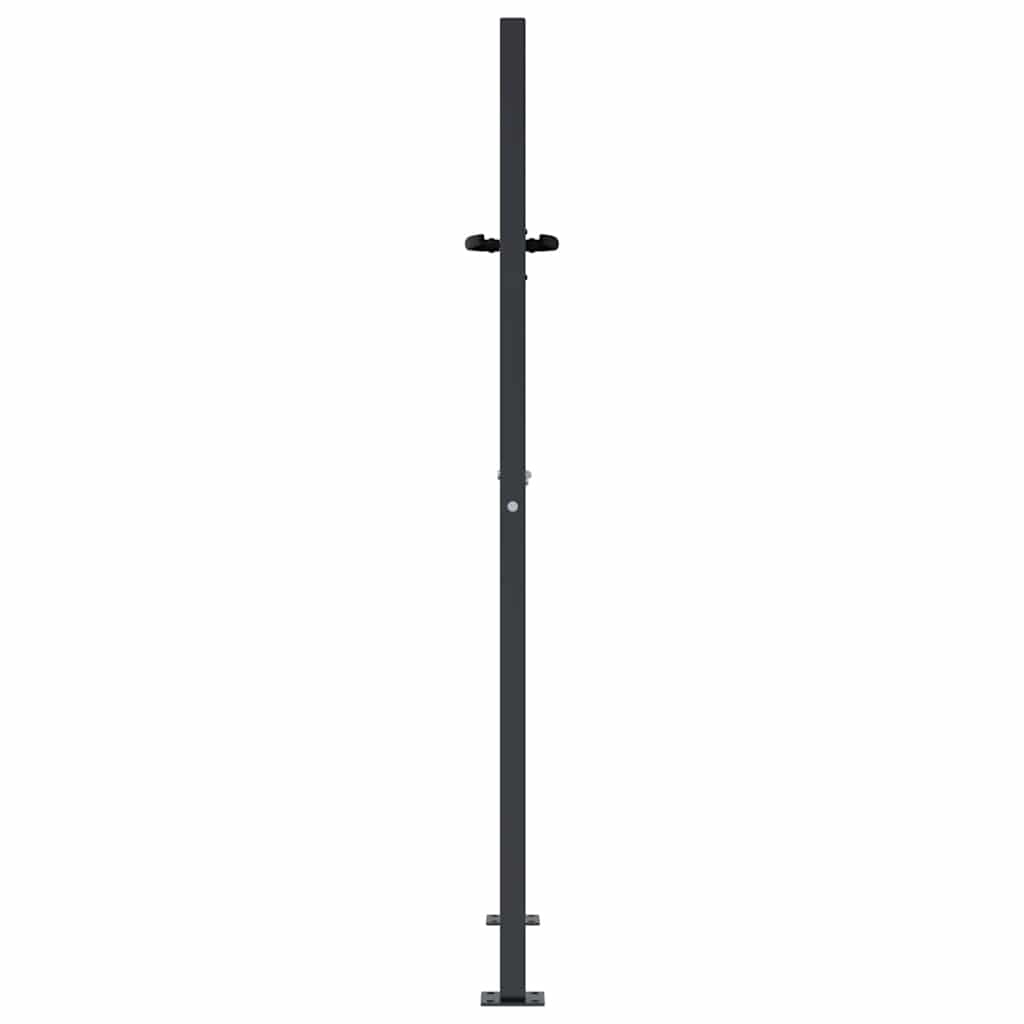vidaXL Furtka ogrodowa, antracytowa, 100x150 cm, stal, motyw trawy