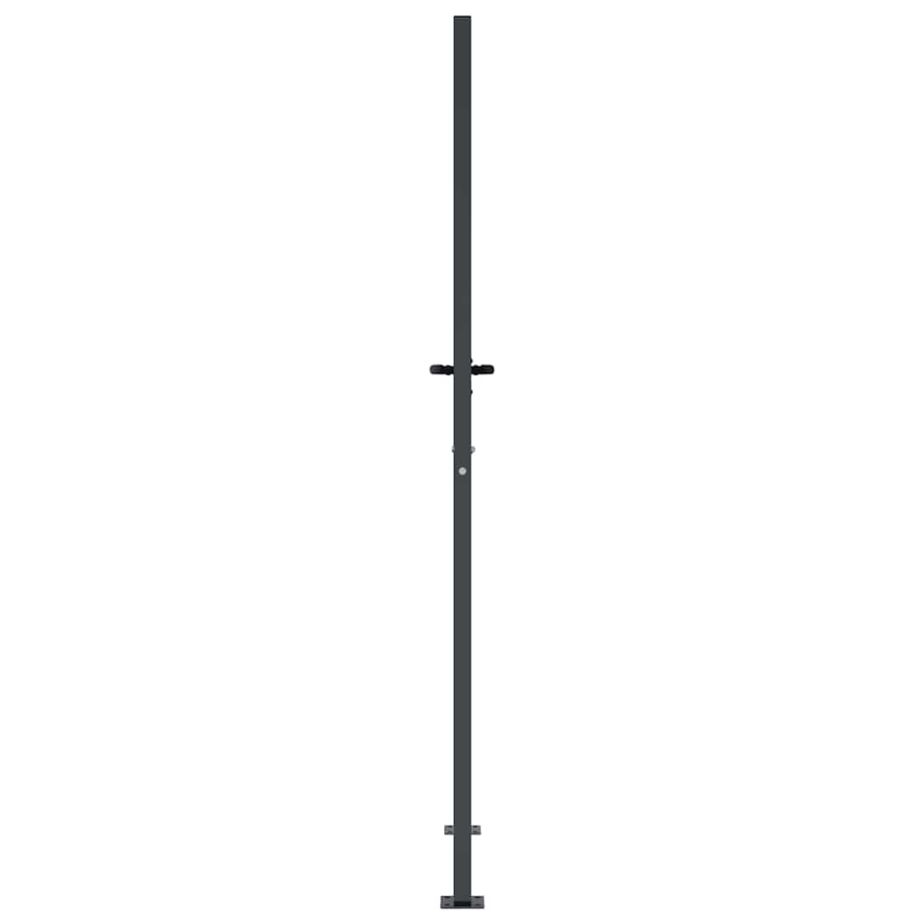 vidaXL Furtka ogrodowa, antracytowa, 100x175 cm, stal, motyw trawy