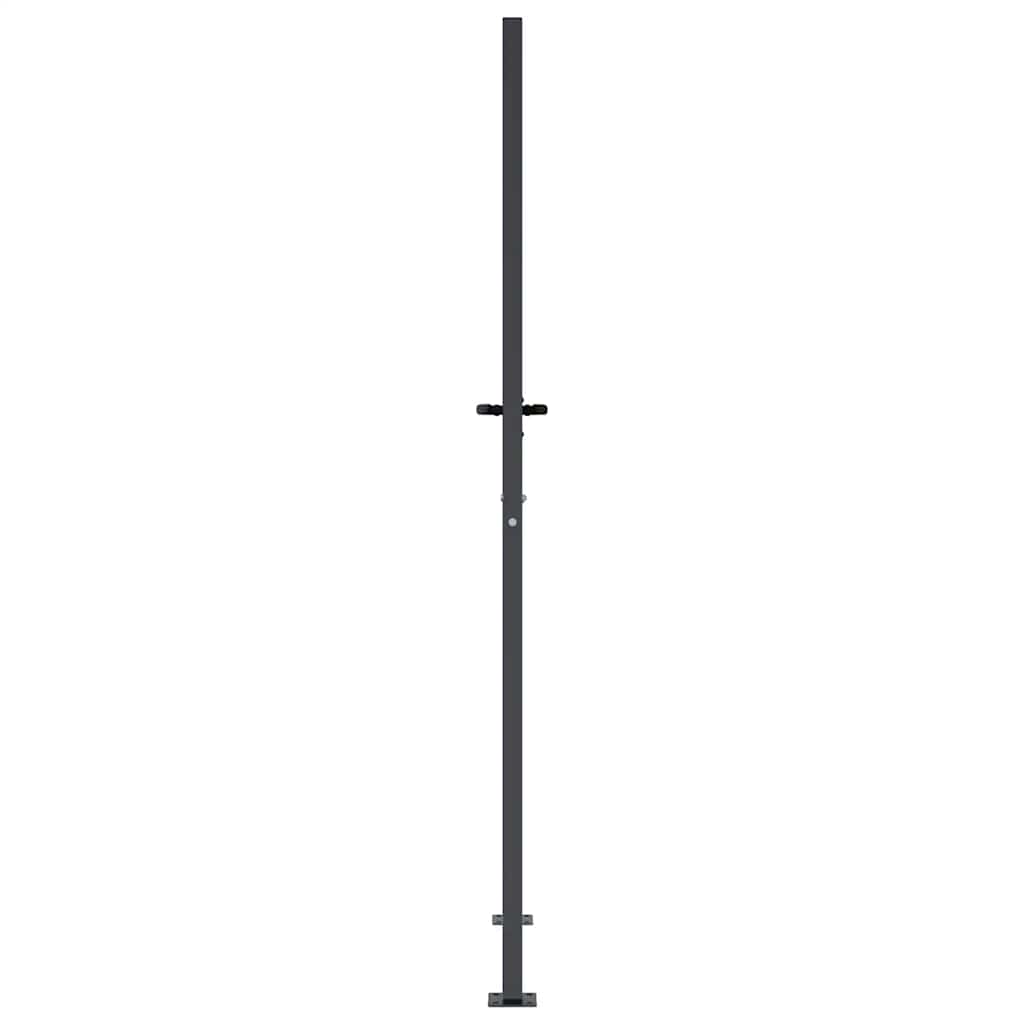 vidaXL Furtka ogrodowa, antracytowa, 100x200 cm, stal, motyw trawy