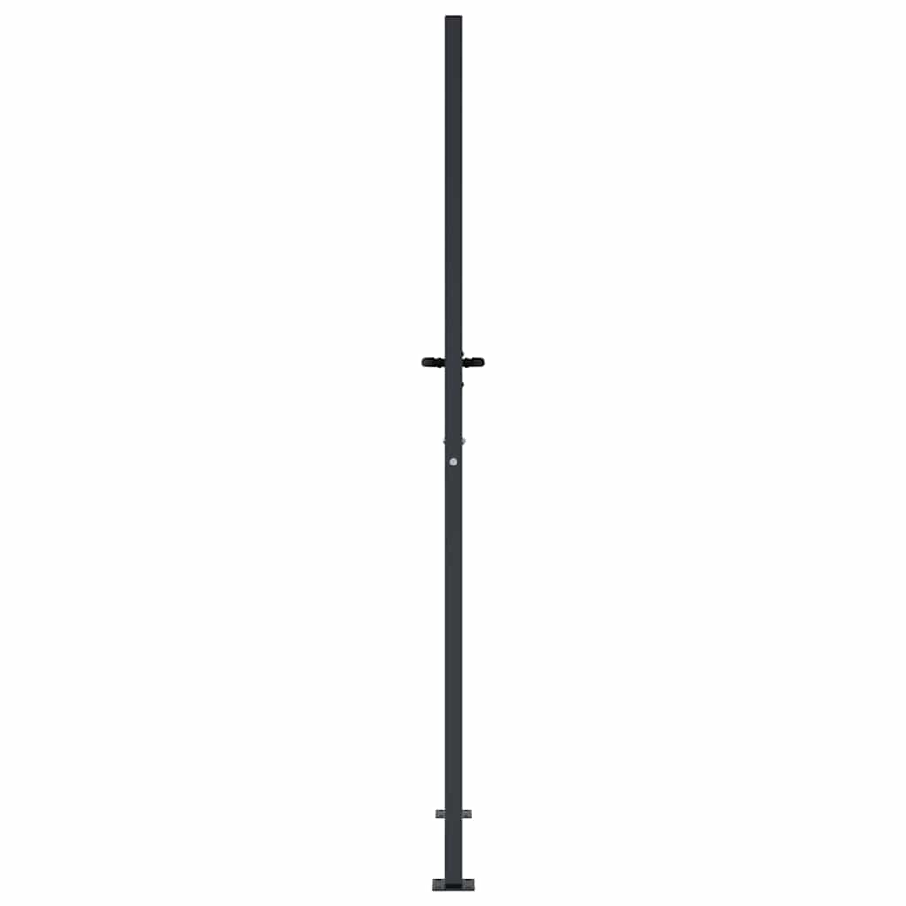vidaXL Furtka ogrodowa, antracytowa, 100x200 cm, stal, motyw bambusa