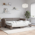 vidaXL Sofa rozsuwana z materacami, kolor taupe, 80x200 cm, tkanina