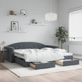 vidaXL Sofa rozsuwana z szufladami, ciemnoszara, 100x200 cm, aksamit