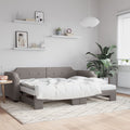 vidaXL Sofa rozsuwana z materacami, kolor taupe, 80x200 cm, tkanina