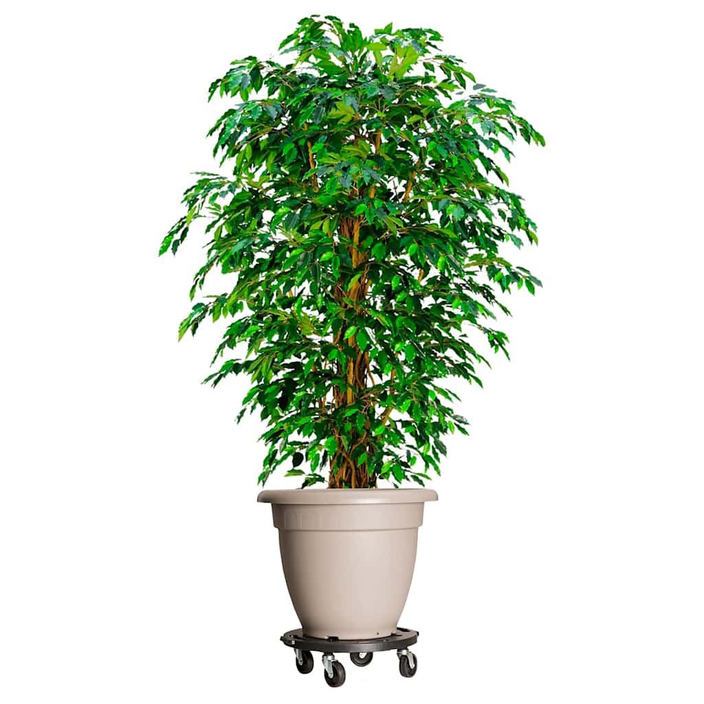 vidaXL Podstawki pod donicę, z kółkami, 5 szt., 40 cm, czarne, 275 kg