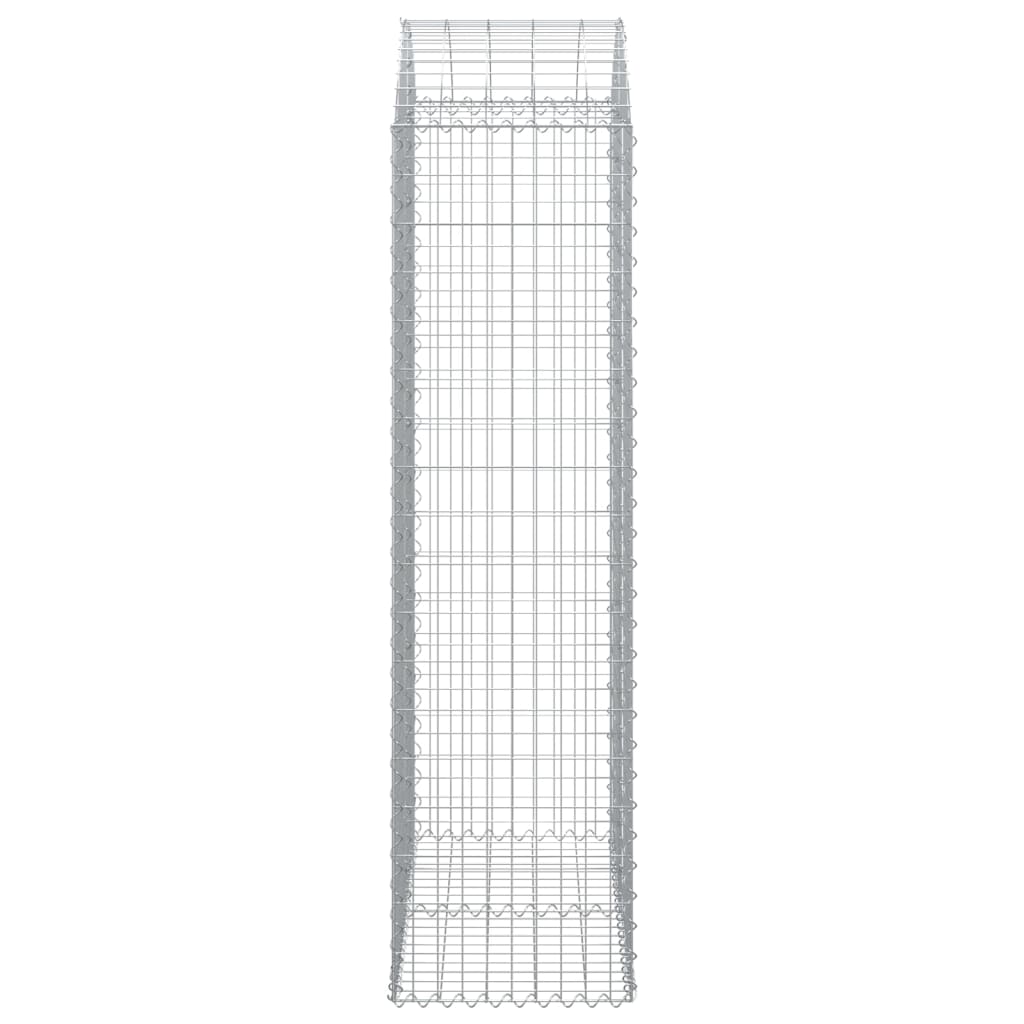 vidaXL Łukowaty kosz gabionowy 100x50x180/200 cm, galwanizowane żelazo