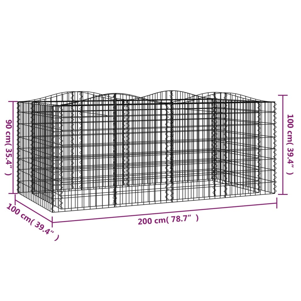 vidaXL Łukowaty kosz gabionowy, 200x100x100 cm, galwanizowane żelazo