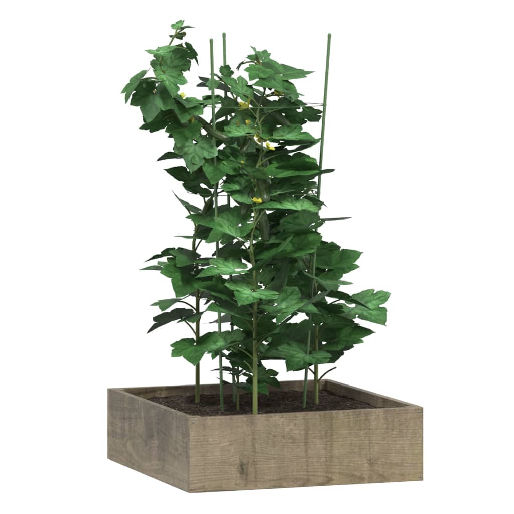 vidaXL Podpórki dla roślin, z 3 obręczami, 5 szt, zielone, 75 cm, stal