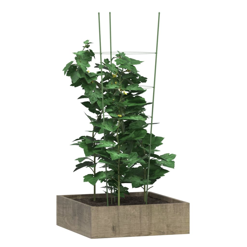vidaXL Podpórki dla roślin, z 4 obręczami, 5 szt, zielone, 90 cm, stal