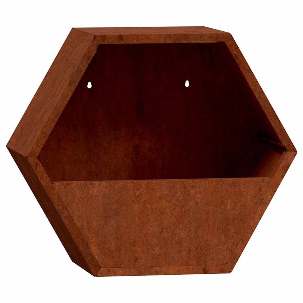 vidaXL Doniczki ścienne, 2 szt., rdzawe, stal kortenowska, 30x10x25 cm