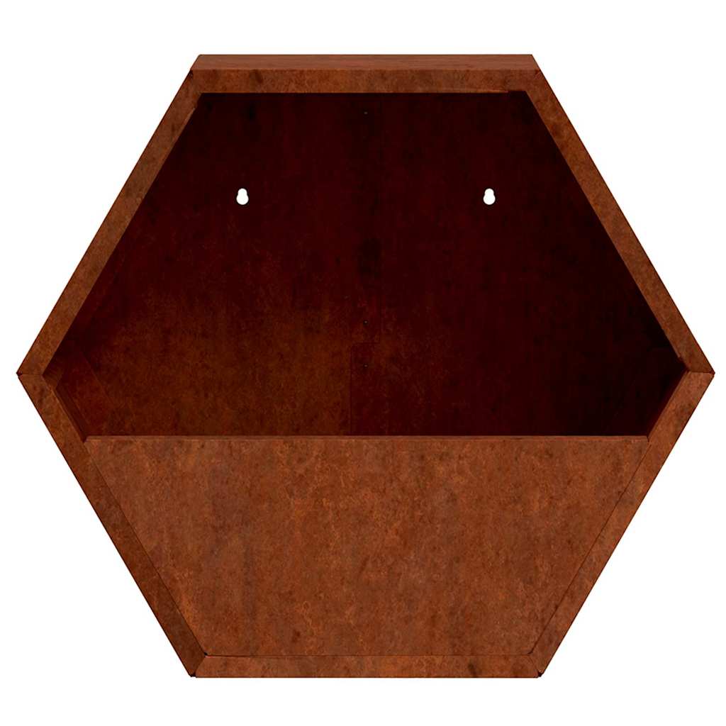vidaXL Doniczki ścienne, 2 szt., rdzawe, stal kortenowska, 30x10x25 cm