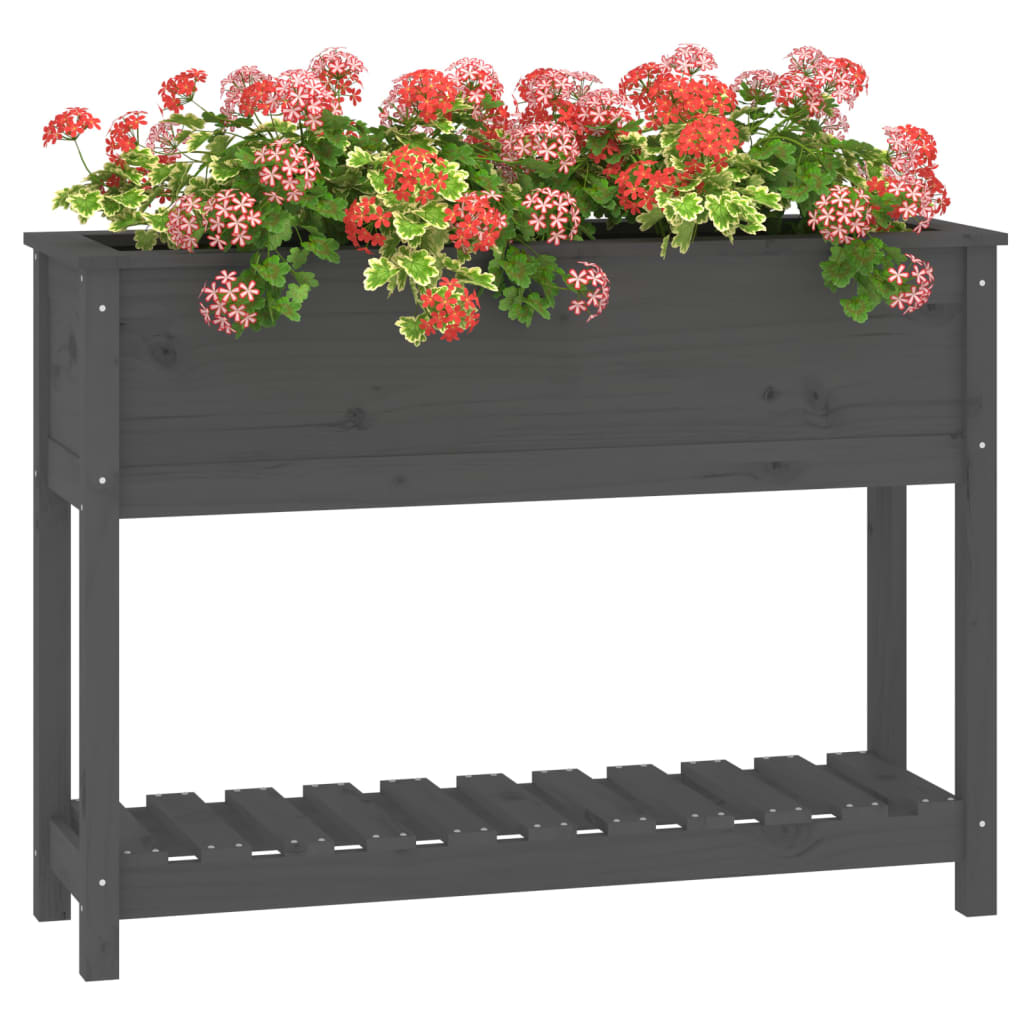 vidaXL Donica z półką, szara, 111,5x34,5x81 cm, lite drewno sosnowe