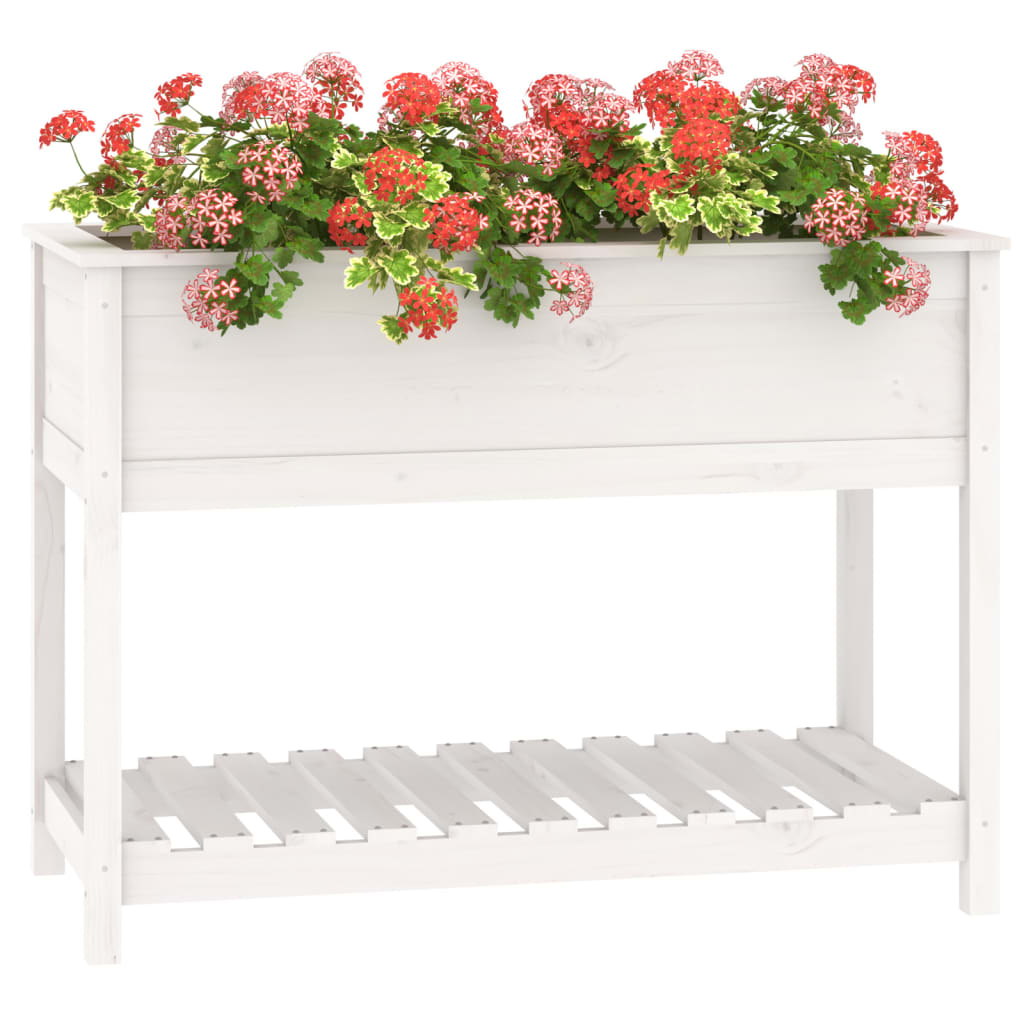 vidaXL Donica z półką, biała, 111,5x54x81 cm, lite drewno sosnowe