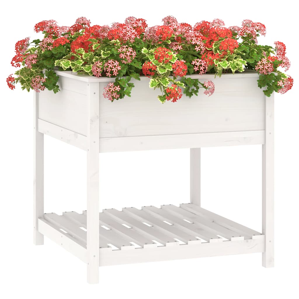 vidaXL Donica z półką, biała, 82,5x82,5x81 cm, lite drewno sosnowe