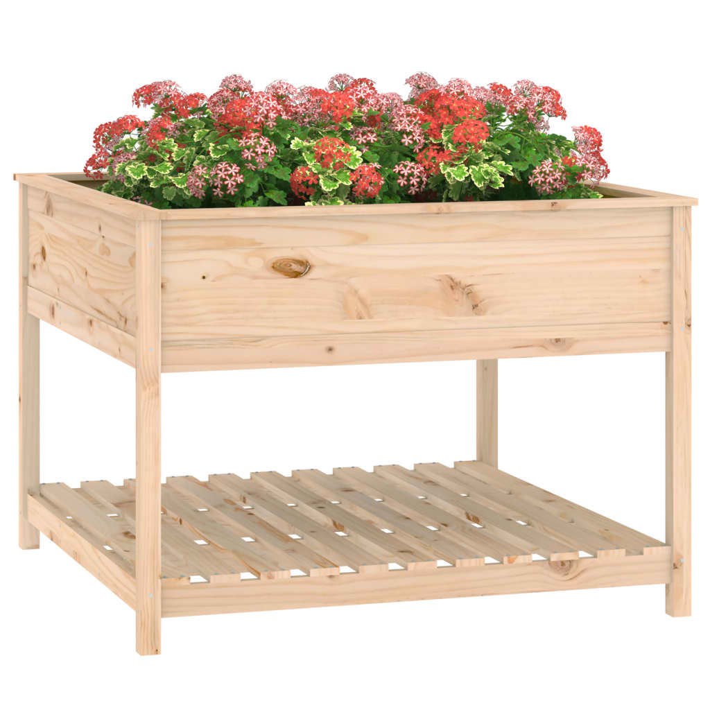 vidaXL Donica z półką, 111,5x111,5x81 cm, lite drewno sosnowe