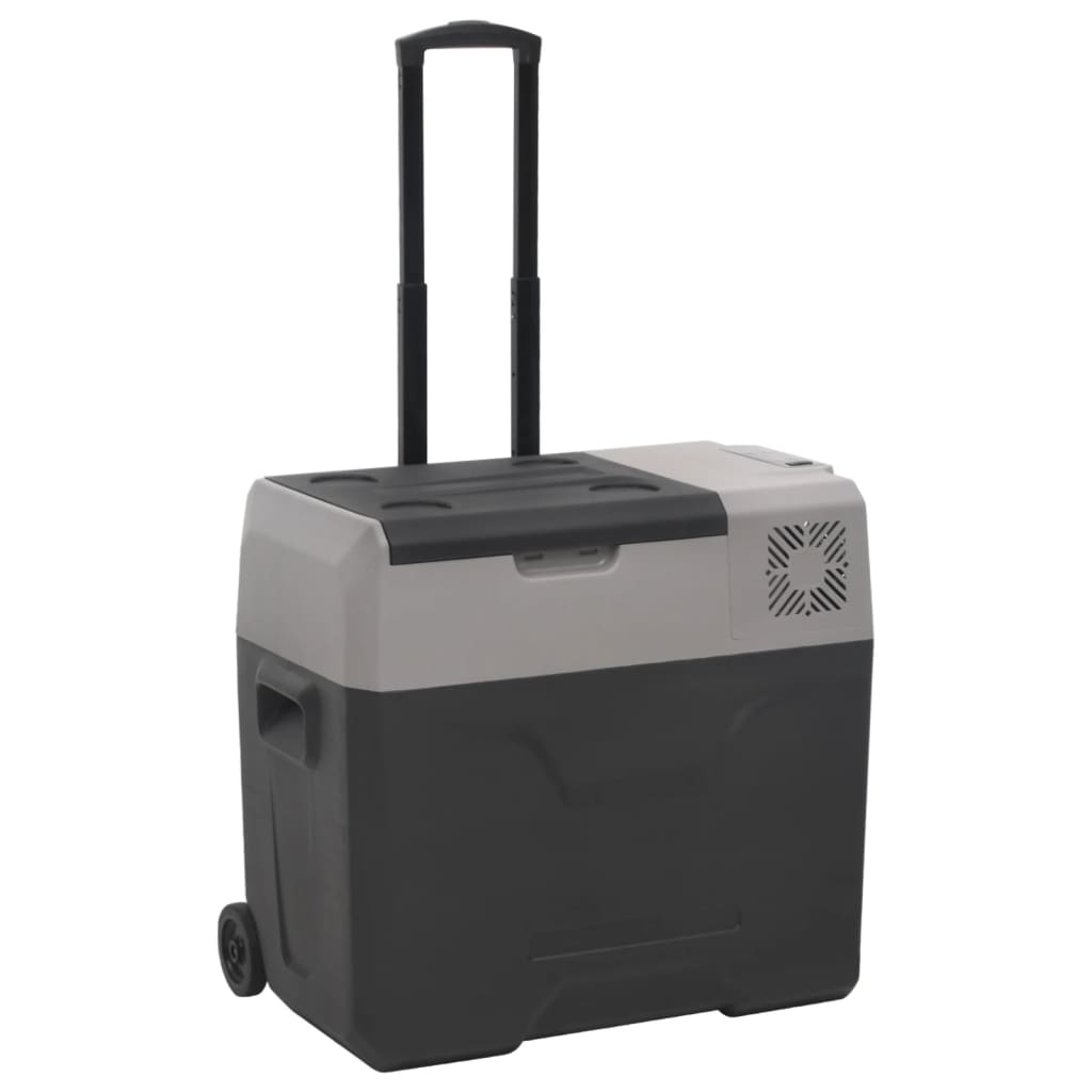 vidaXL Lodówka na kółkach, z uchwytem, czarno-szara, 30 L, PP
