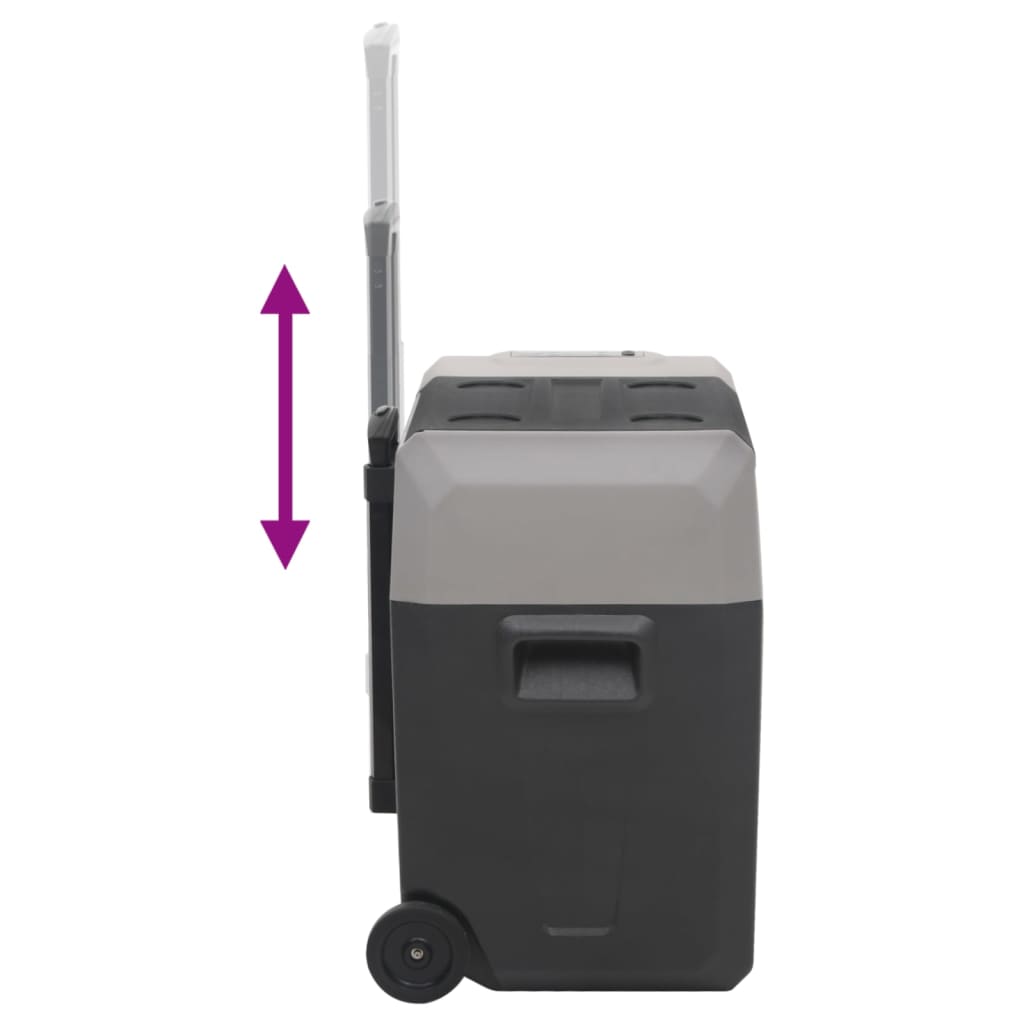 vidaXL Lodówka na kółkach, z uchwytem, czarno-szara, 30 L, PP