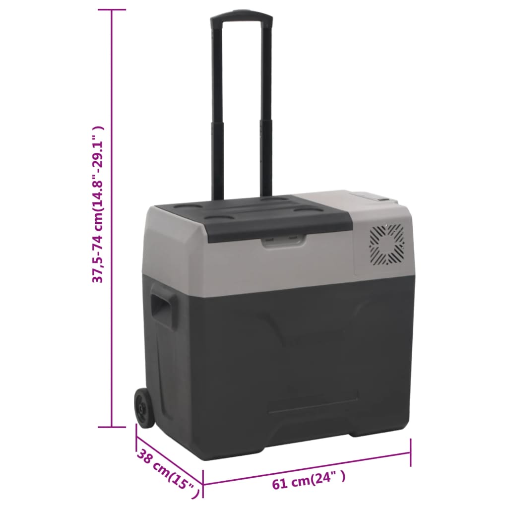 vidaXL Lodówka na kółkach, z uchwytem, czarno-szara, 30 L, PP