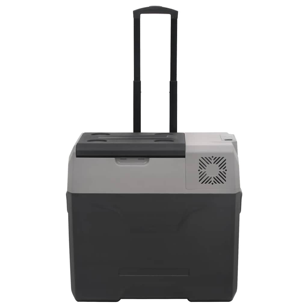 vidaXL Lodówka na kółkach, z uchwytem, czarno-szara, 40 L, PP