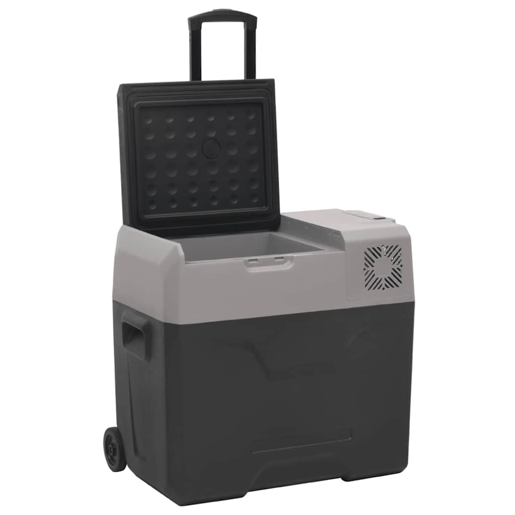 vidaXL Lodówka na kółkach, z uchwytem, czarno-szara, 40 L, PP