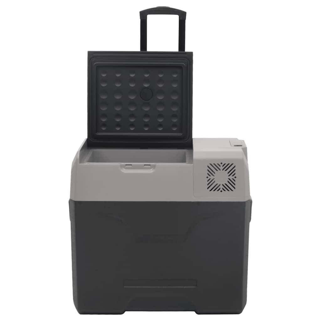 vidaXL Lodówka na kółkach, z uchwytem, czarno-szara, 40 L, PP