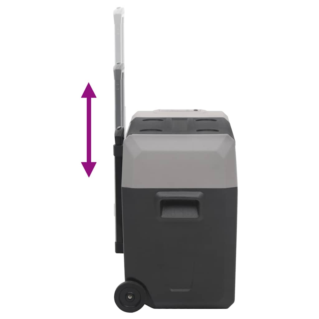 vidaXL Lodówka na kółkach, z uchwytem, czarno-szara, 40 L, PP