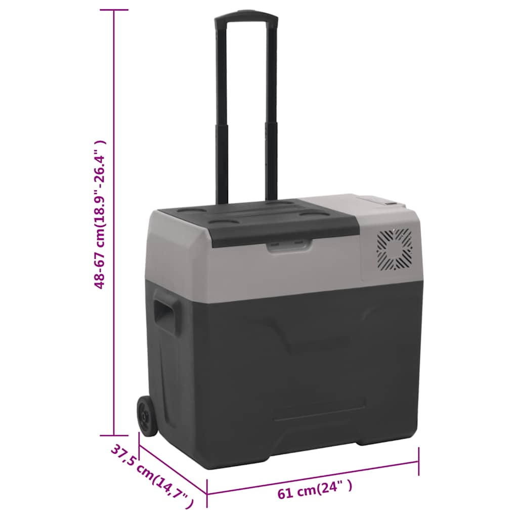 vidaXL Lodówka na kółkach, z uchwytem, czarno-szara, 40 L, PP