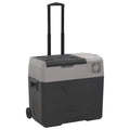 vidaXL Lodówka na kółkach, z uchwytem, czarno-szara, 50 L, PP