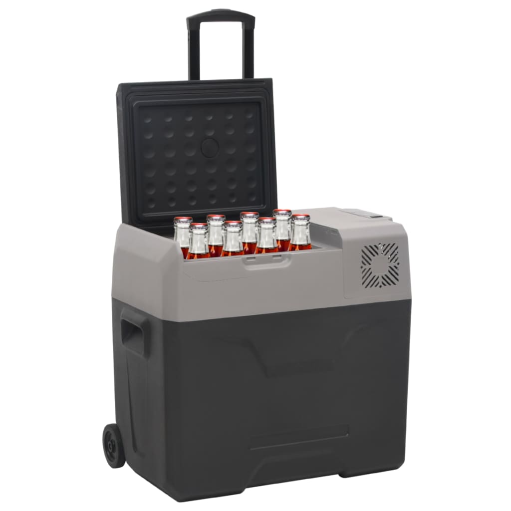 vidaXL Lodówka na kółkach, z uchwytem, czarno-szara, 50 L, PP