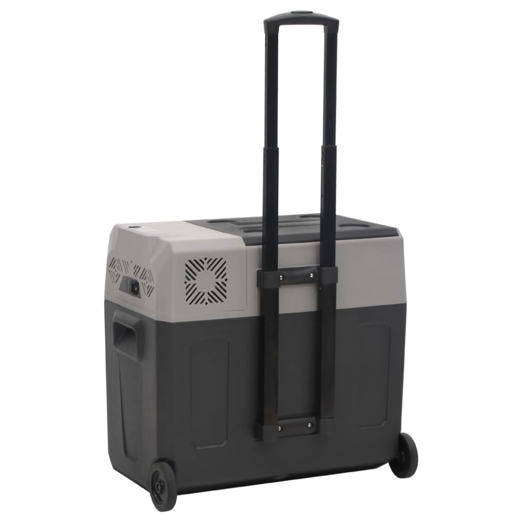 vidaXL Lodówka na kółkach, z uchwytem, czarno-szara, 50 L, PP