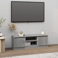 vidaXL Szafka pod TV, z drzwiczkami, szary dąb sonoma, 102x30x36 cm