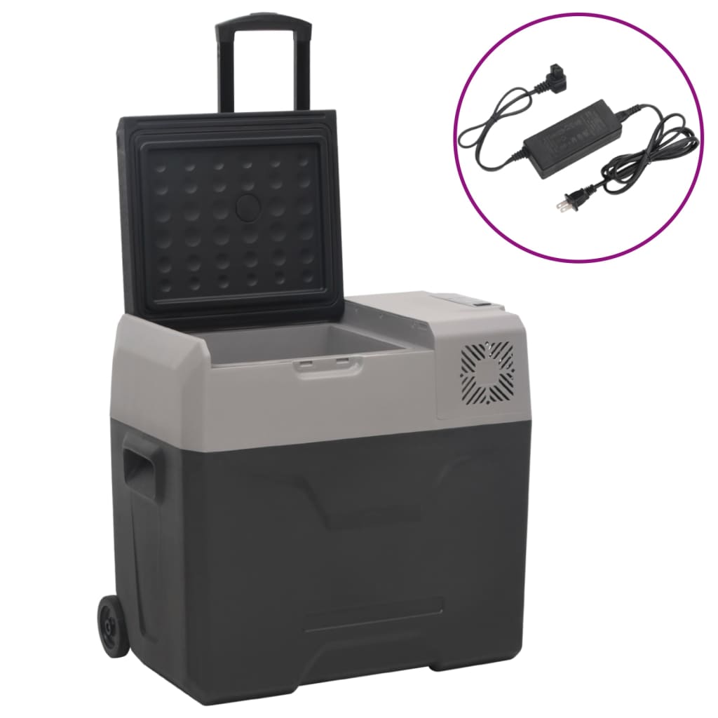 vidaXL Lodówka na kółkach, z zasilaczem, czarno-szara, 50 L, PP