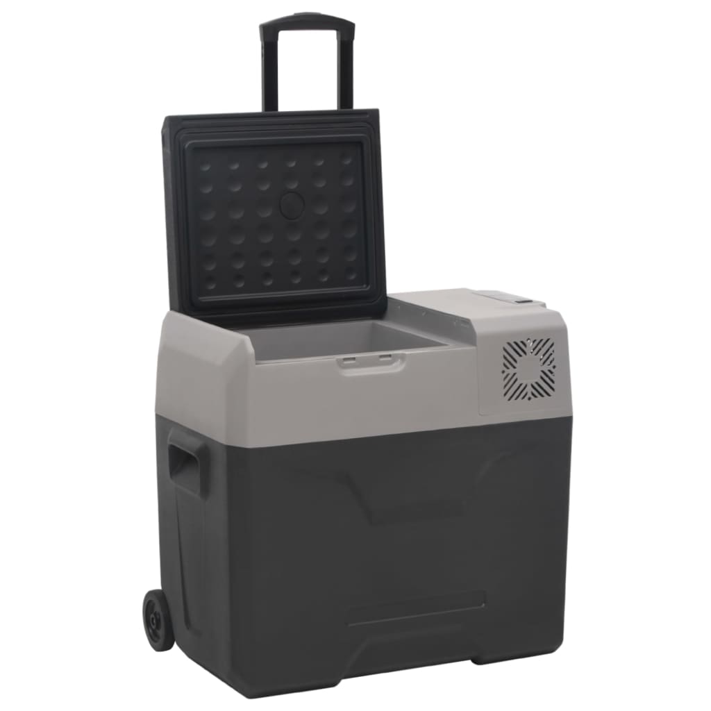 vidaXL Lodówka na kółkach, z zasilaczem, czarno-szara, 50 L, PP