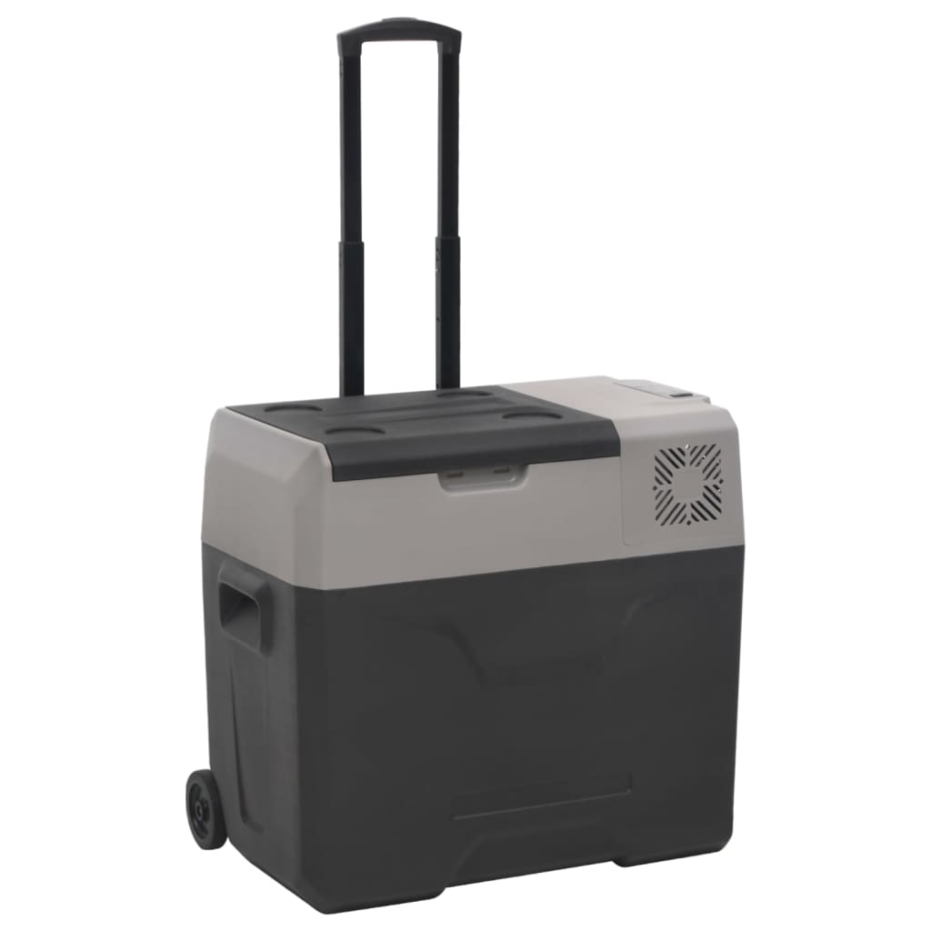 vidaXL Lodówka na kółkach, z zasilaczem, czarno-szara, 50 L, PP