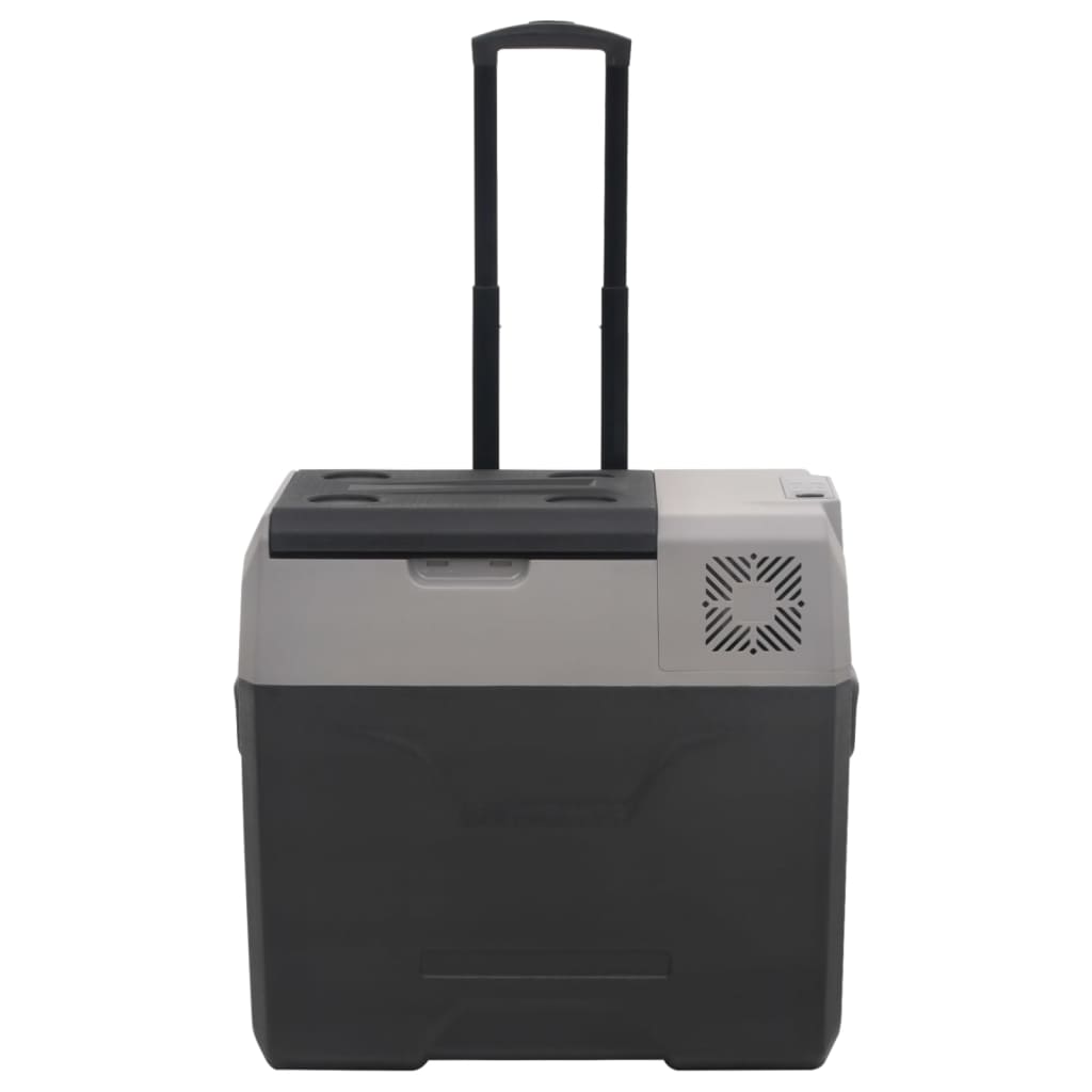 vidaXL Lodówka na kółkach, z zasilaczem, czarno-szara, 50 L, PP