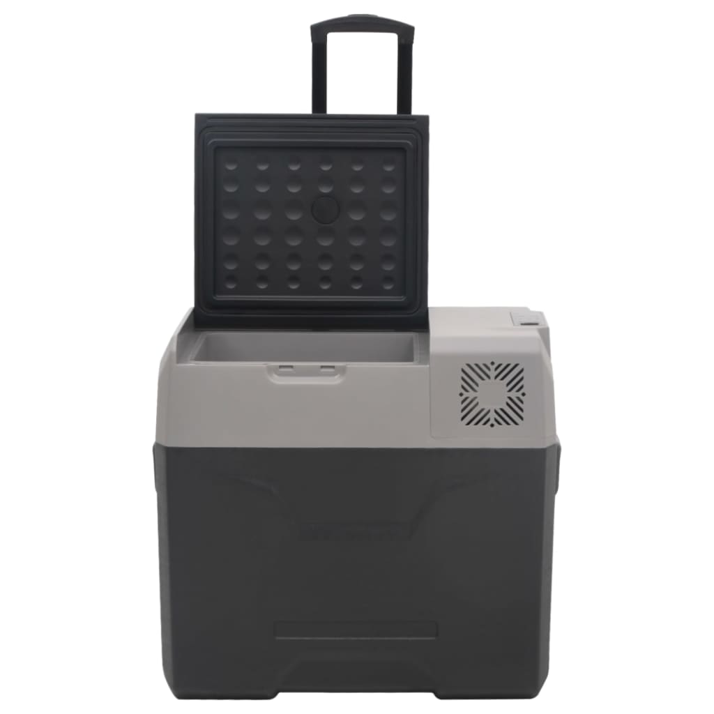 vidaXL Lodówka na kółkach, z zasilaczem, czarno-szara, 50 L, PP