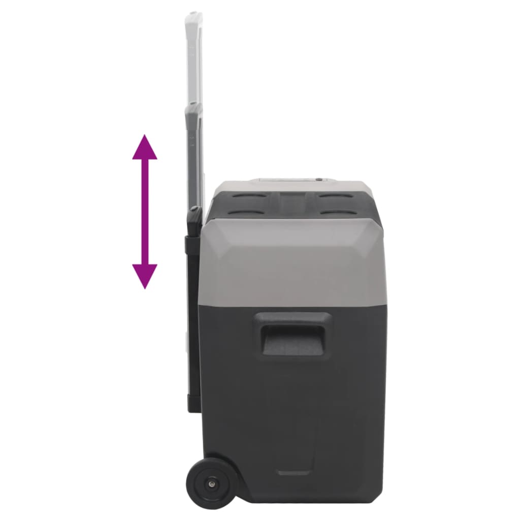 vidaXL Lodówka na kółkach, z zasilaczem, czarno-szara, 50 L, PP