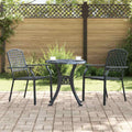 vidaXL Krzesło Ogrodowe 2 pcs Antracyt 56 x 65 x 89 cm Stal