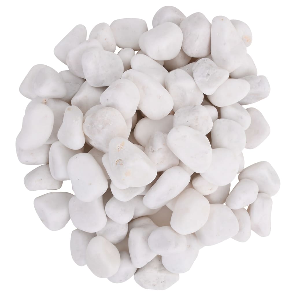 vidaXL Polerowane kamyki, 25 kg, białe, 2-5 cm