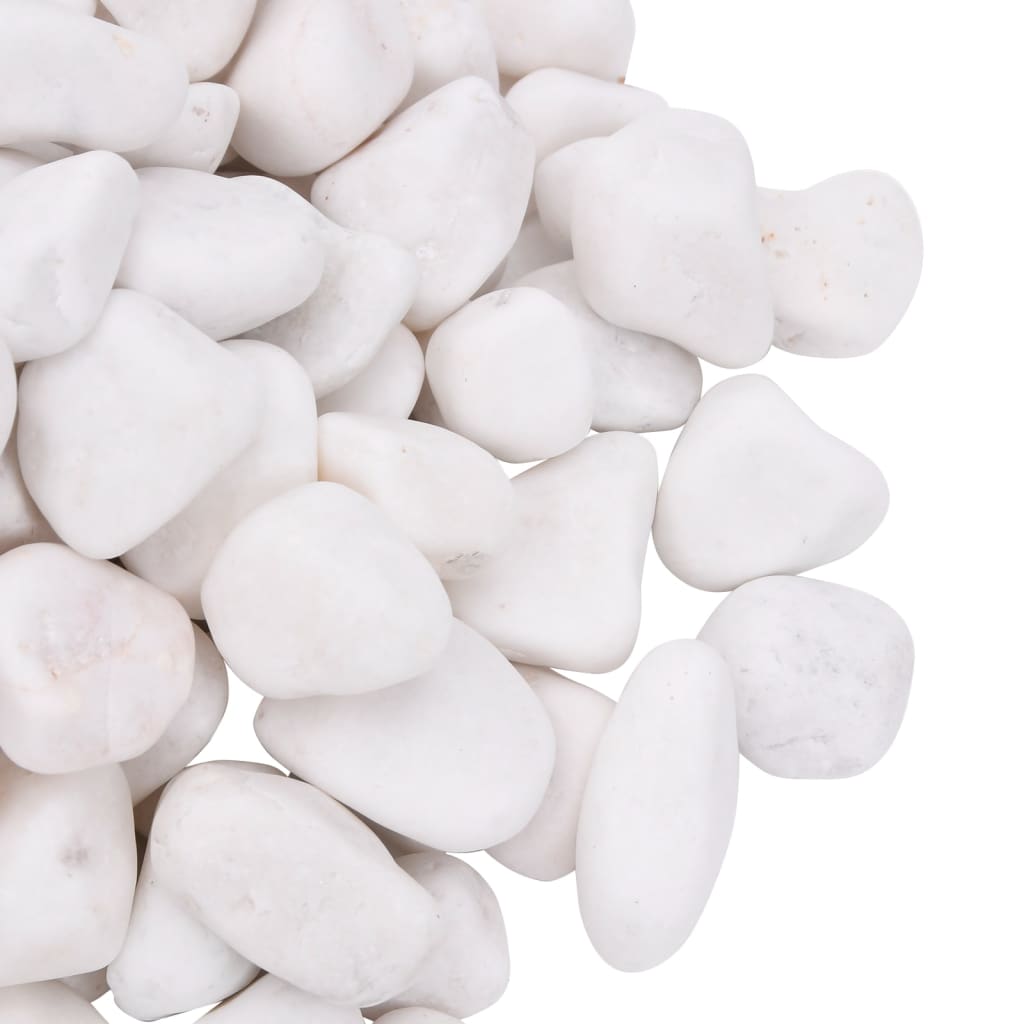 vidaXL Polerowane kamyki, 25 kg, białe, 2-5 cm