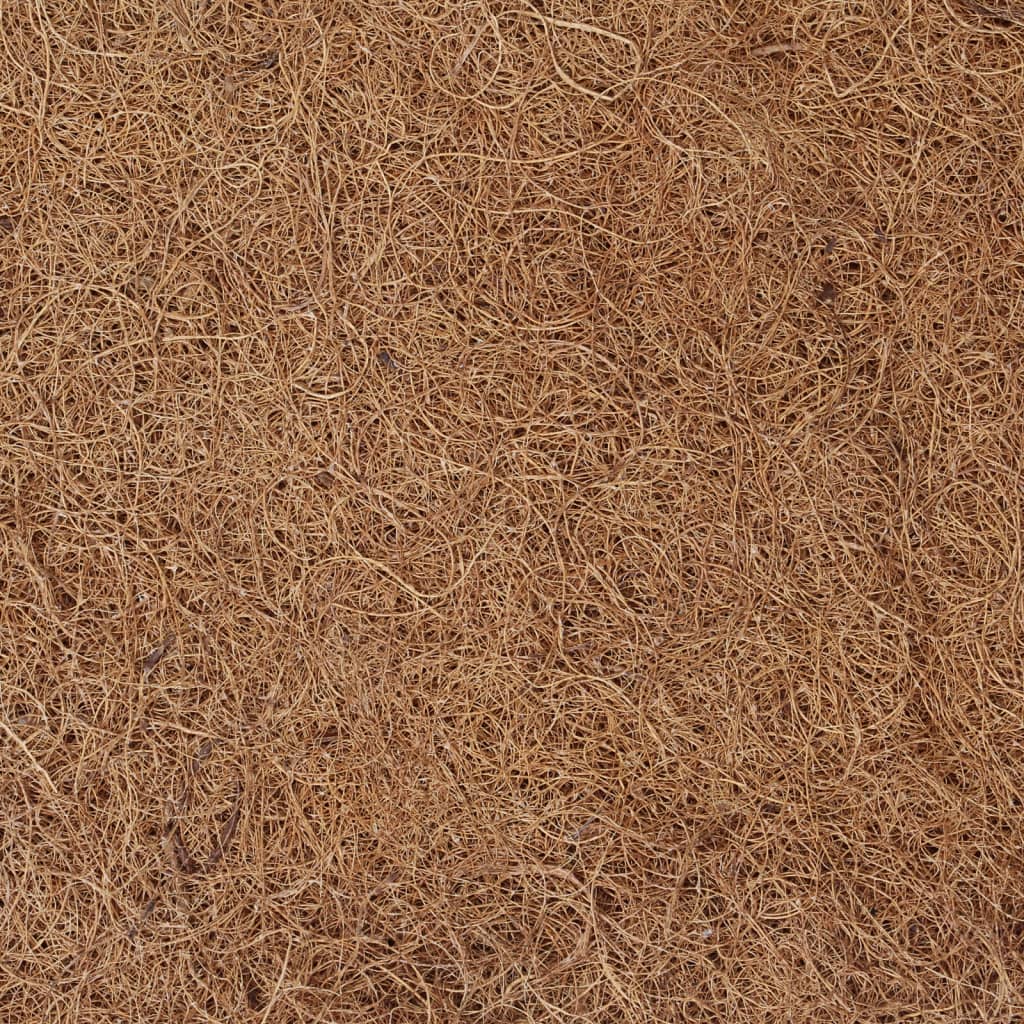 vidaXL Podkładka pod materac, 80x200 cm, włókno kokosowe