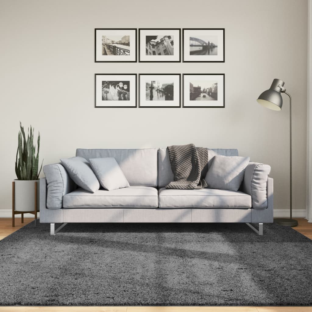 vidaXL Dywan OVIEDO z krótkim włosiem, antracytowy, 200x200 cm