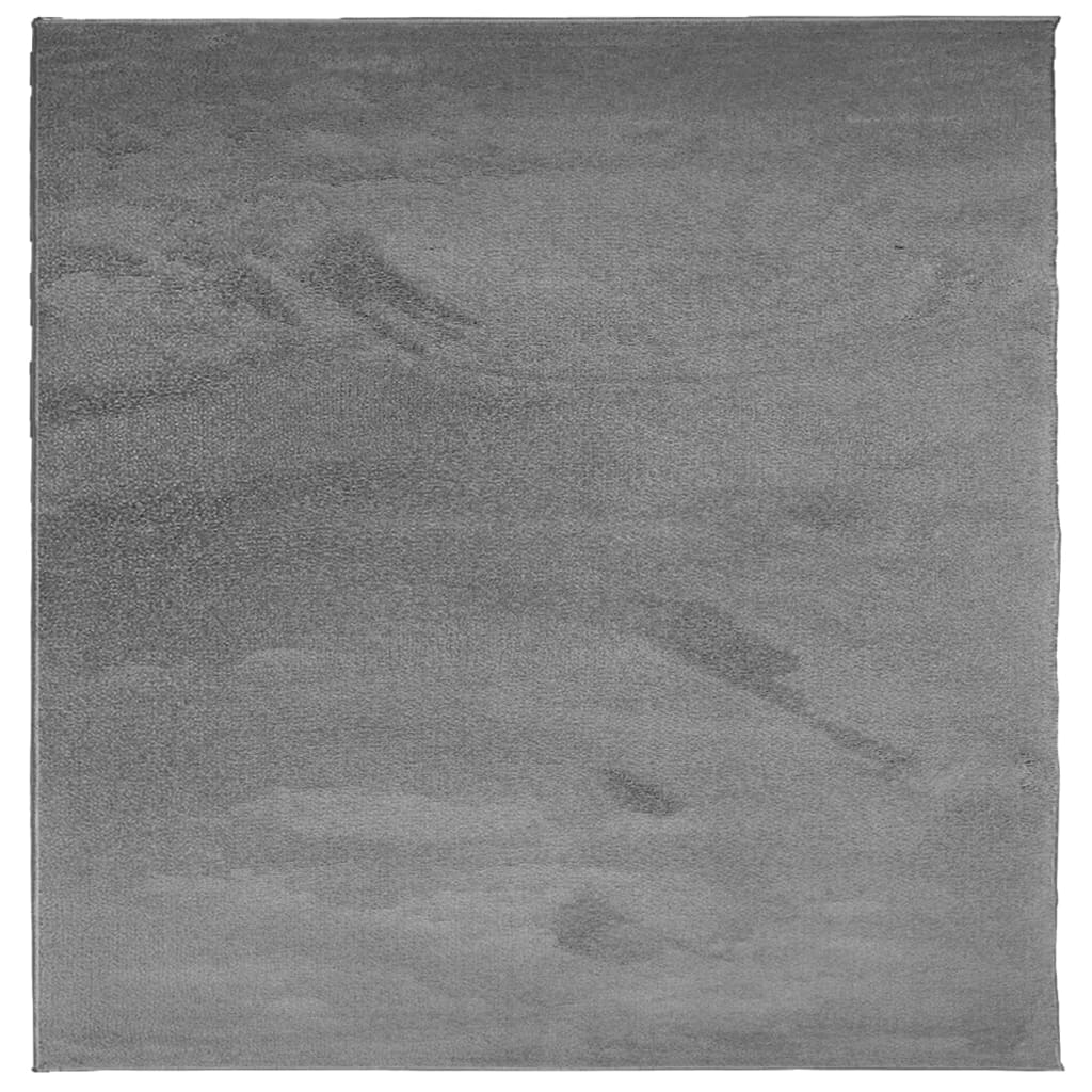 vidaXL Dywan OVIEDO z krótkim włosiem, antracytowy, 240x240 cm