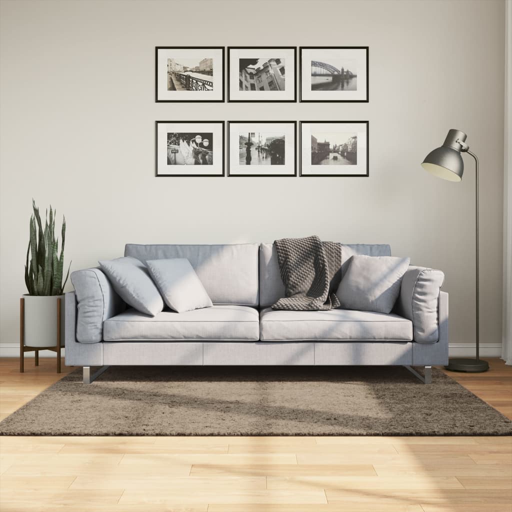 vidaXL Dywan ISTAN z długim runem, połyskujący, szary, 120x170 cm