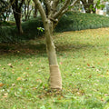 vidaXL Tkanina jutowa w rolce, 0,25x5 m, 100% juta, 200 g/m²