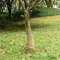 vidaXL Tkanina jutowa w rolce, 0,25x10 m, 100% juta, 200 g/m²