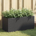 vidaXL Donica ogrodowa z 2 wkładami, czarna, 72x30x32 cm, rattan PE