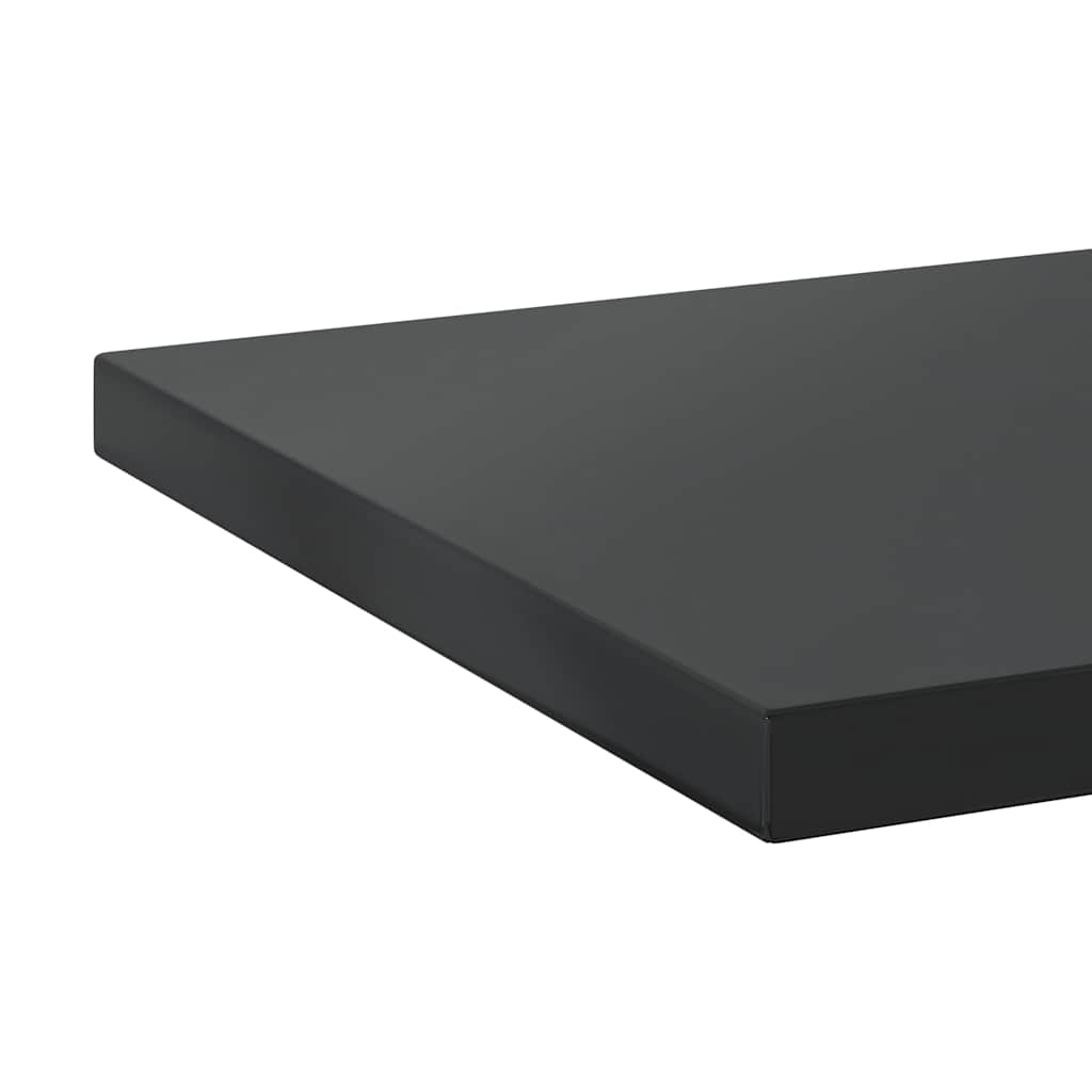 vidaXL Półki ścienne, 2 szt., 100x30 cm, czarna stal nierdzewna