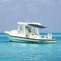 vidaXL Rozbudowa zadaszenia do łodzi, niebieska, 170x170x(115-183) cm