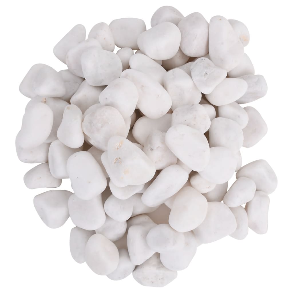vidaXL Polerowane kamyki, 25 kg, białe, 2-5 cm